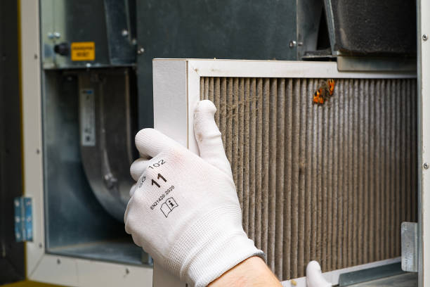 Air Duct Mold Removal in Kingsburg, CA